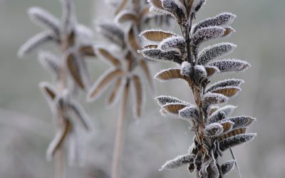 How to Prevent Pipes from Freezing