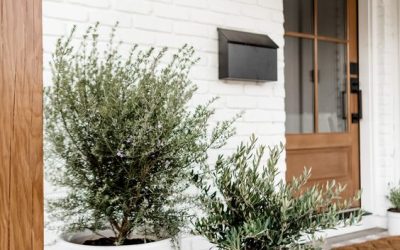 Should I Wait Until Spring?