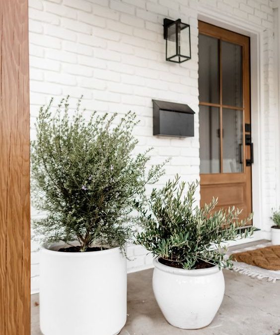 Should I Wait Until Spring?