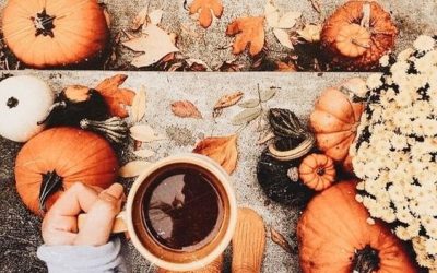 2023 Local Fall Events & Activities