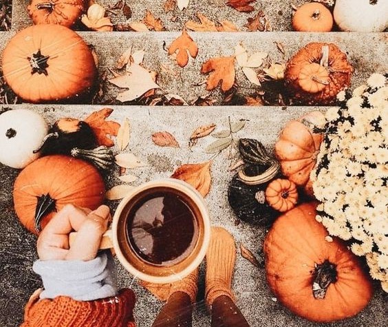 2023 Local Fall Events & Activities