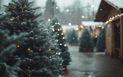 2024 Local Winter Events & Activities